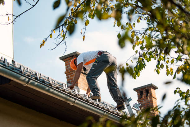 Best Commercial Roofing Services  in Clton, IN